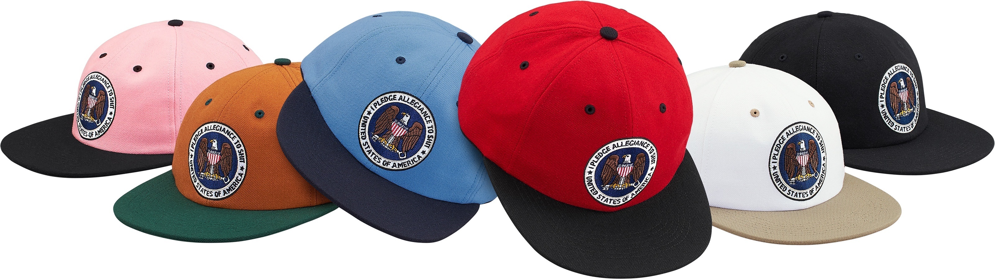 Pledge Allegiance 6-Panel